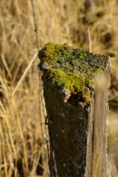 DSC_5837 (Large).JPG